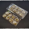 Battle ready bases - Temple, 32 mm, round, x8