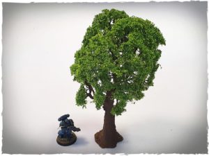 Model trees - 32 mm scale, oak