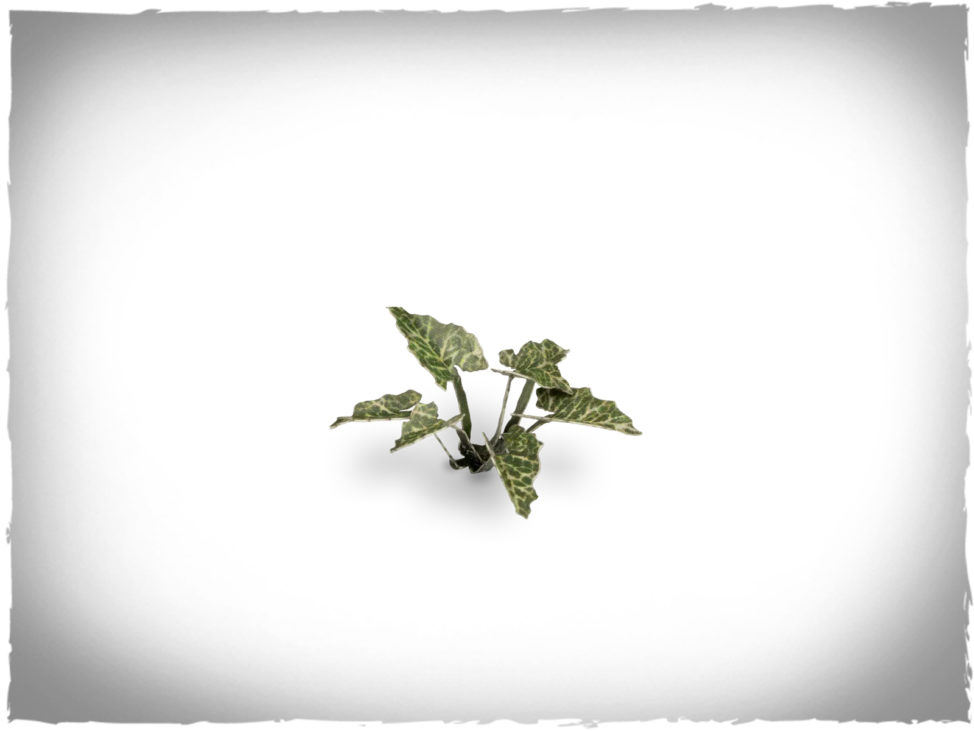 Gamers Grass Piante Laser Lords-and Ladies - Decorazioni Realistiche Per Il Tuo Tavolo Da Gioco