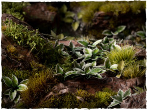 GamersGrass laser plants - Plantain Lily