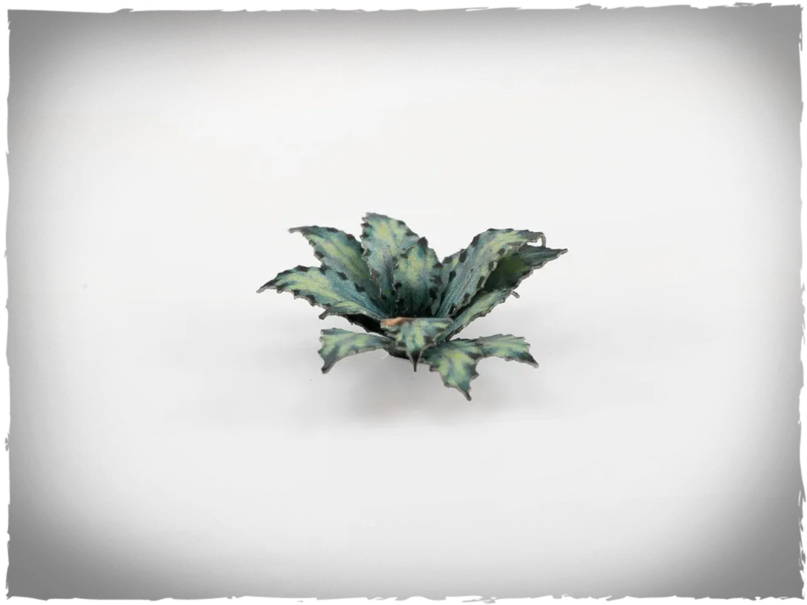 GGLP-BA - Blue Agave_1600x900_03