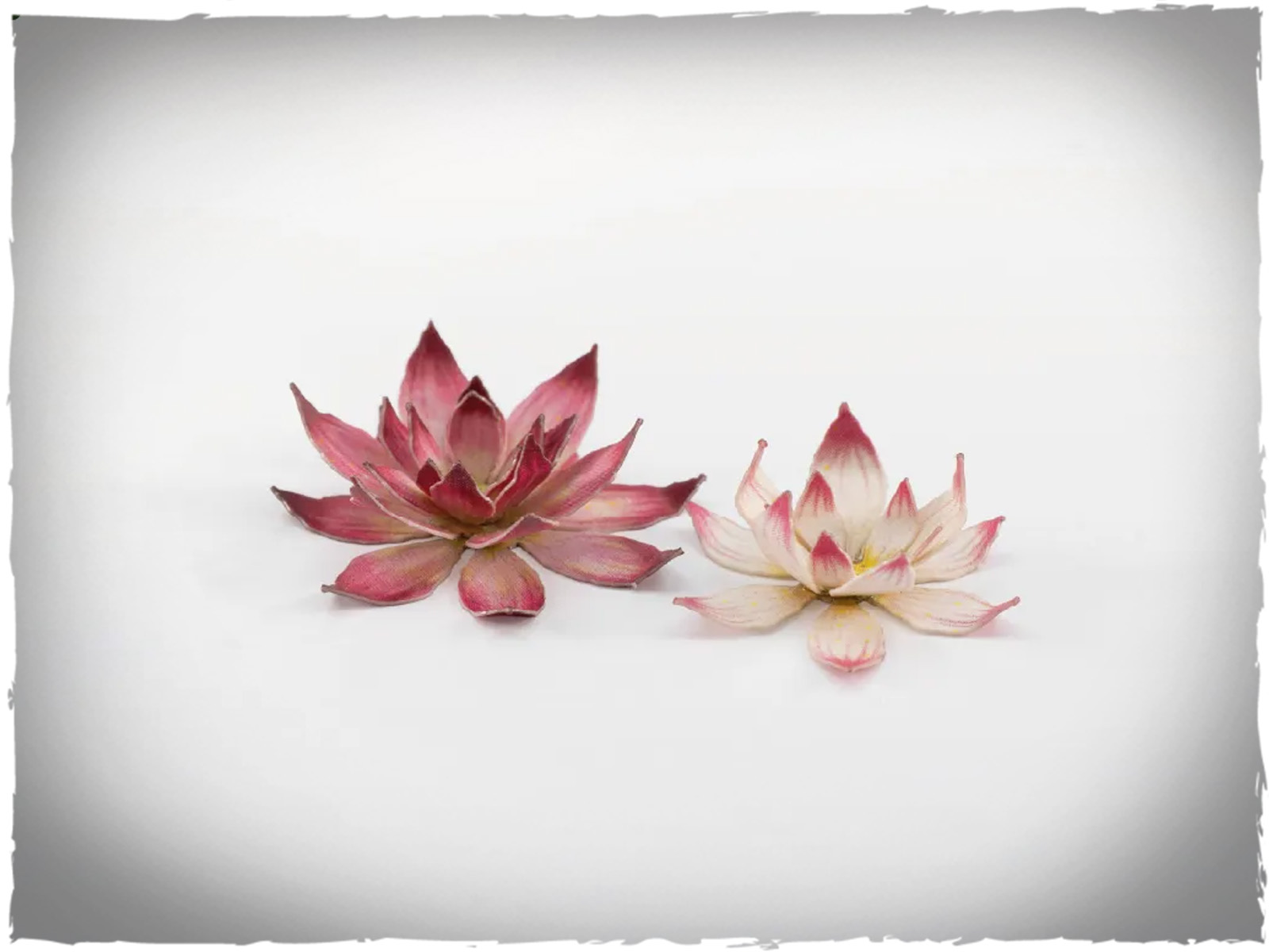 GGLP-LF-Lotus_flower_1600x900_03