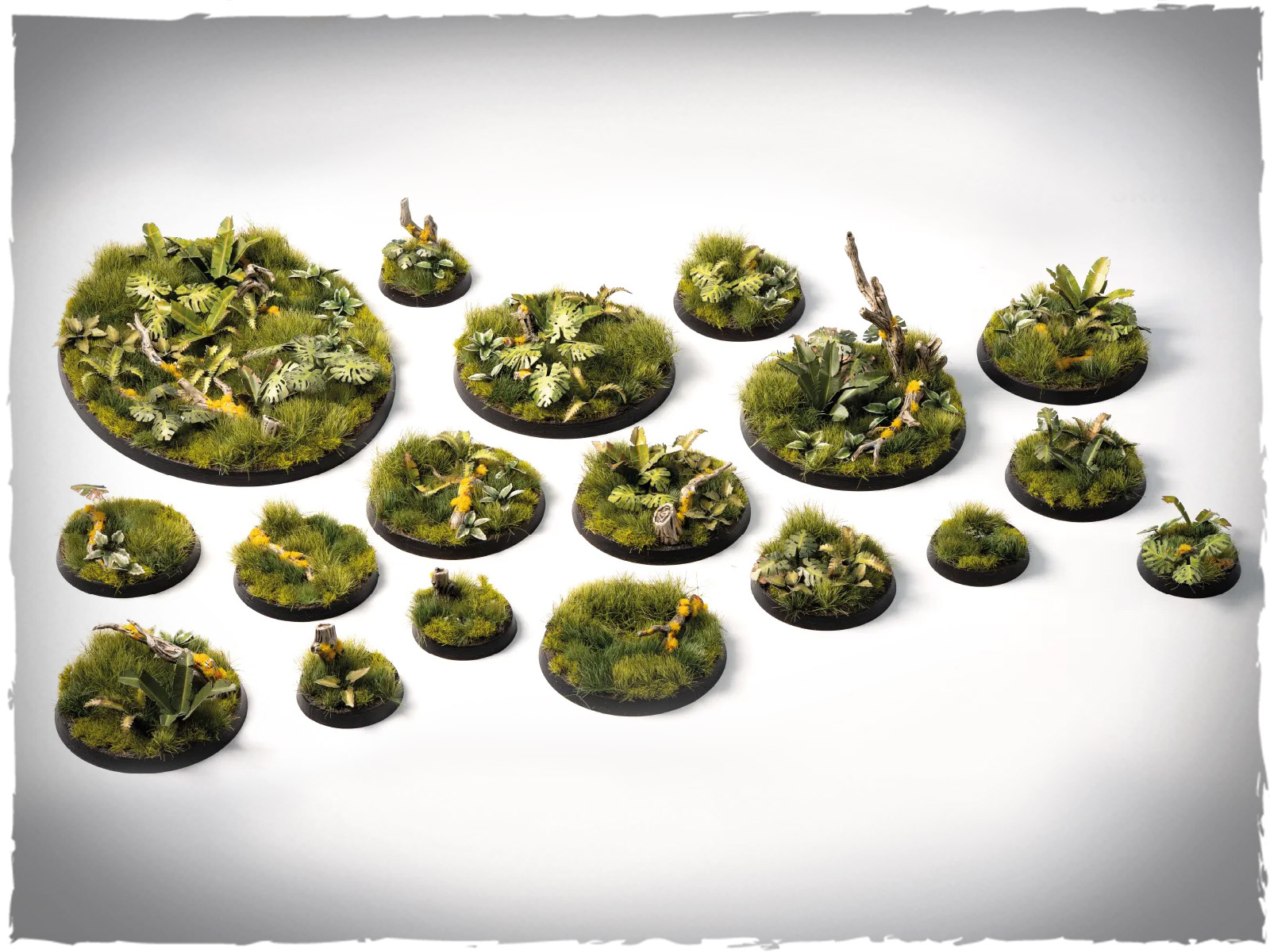GGSB-JFBB-Jungle_floor_basing_box_1600x900_01