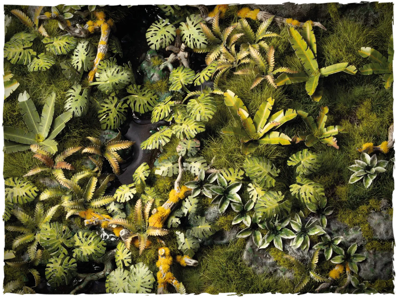 GGSB-JFBB-Jungle_floor_basing_box_1600x900_03