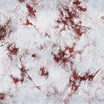 red_salt_desert
